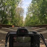 佳能m50相机拍摄体验(软件|视频|拍照|优点|缺点)