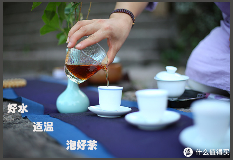 怎样才能泡一壶好茶——水为茶母、器为茶父