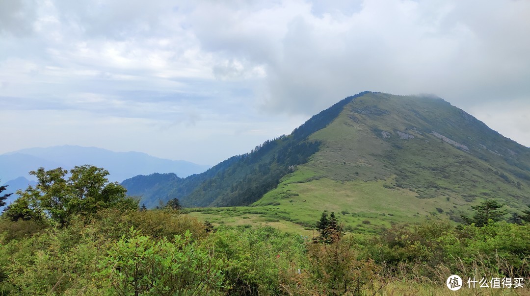 二粱的高山草甸