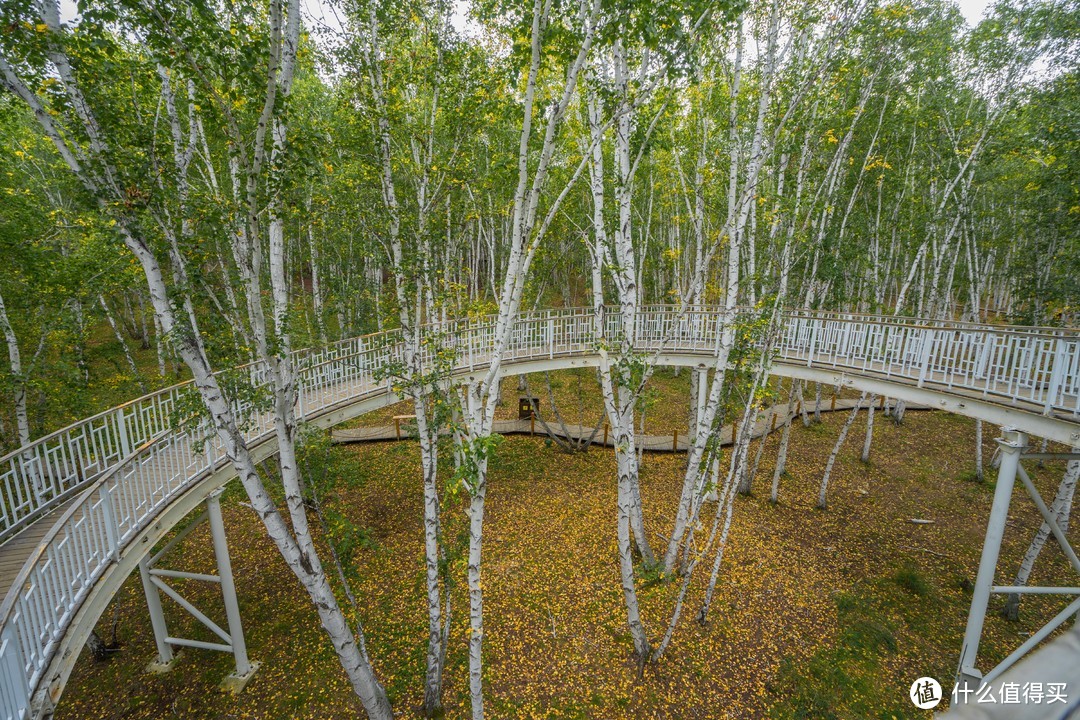 内蒙黄金自驾线路游记，一周玩完北线你要知道的都在这了（191P）