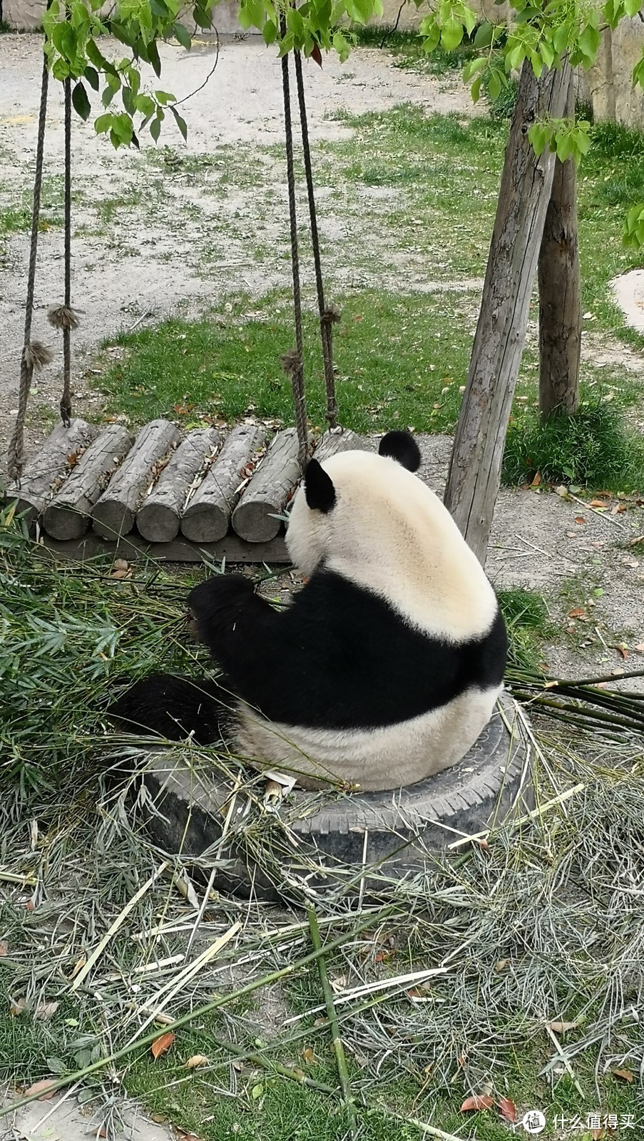 永不消逝的电波，小米米家对讲机1S