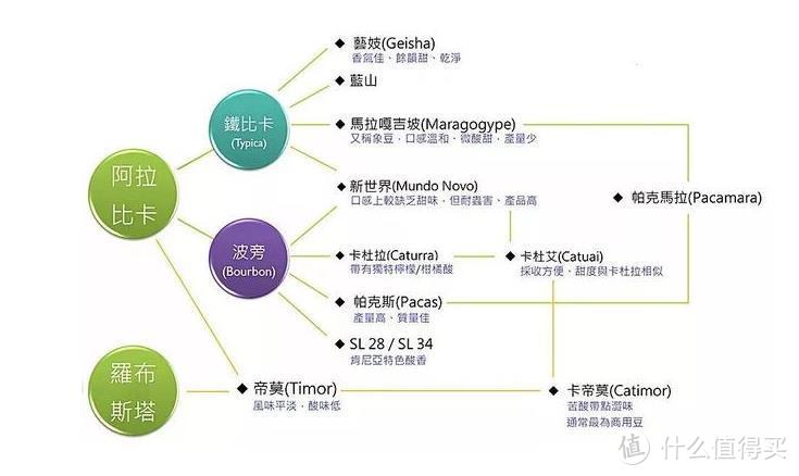 从速溶到手冲，由调配到纯粹，咖啡小白进阶之路