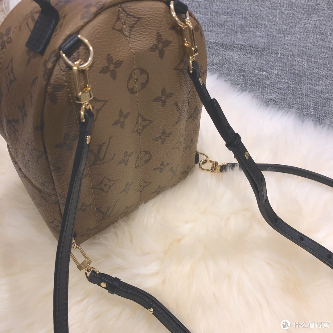 LV Palm Spring Mini