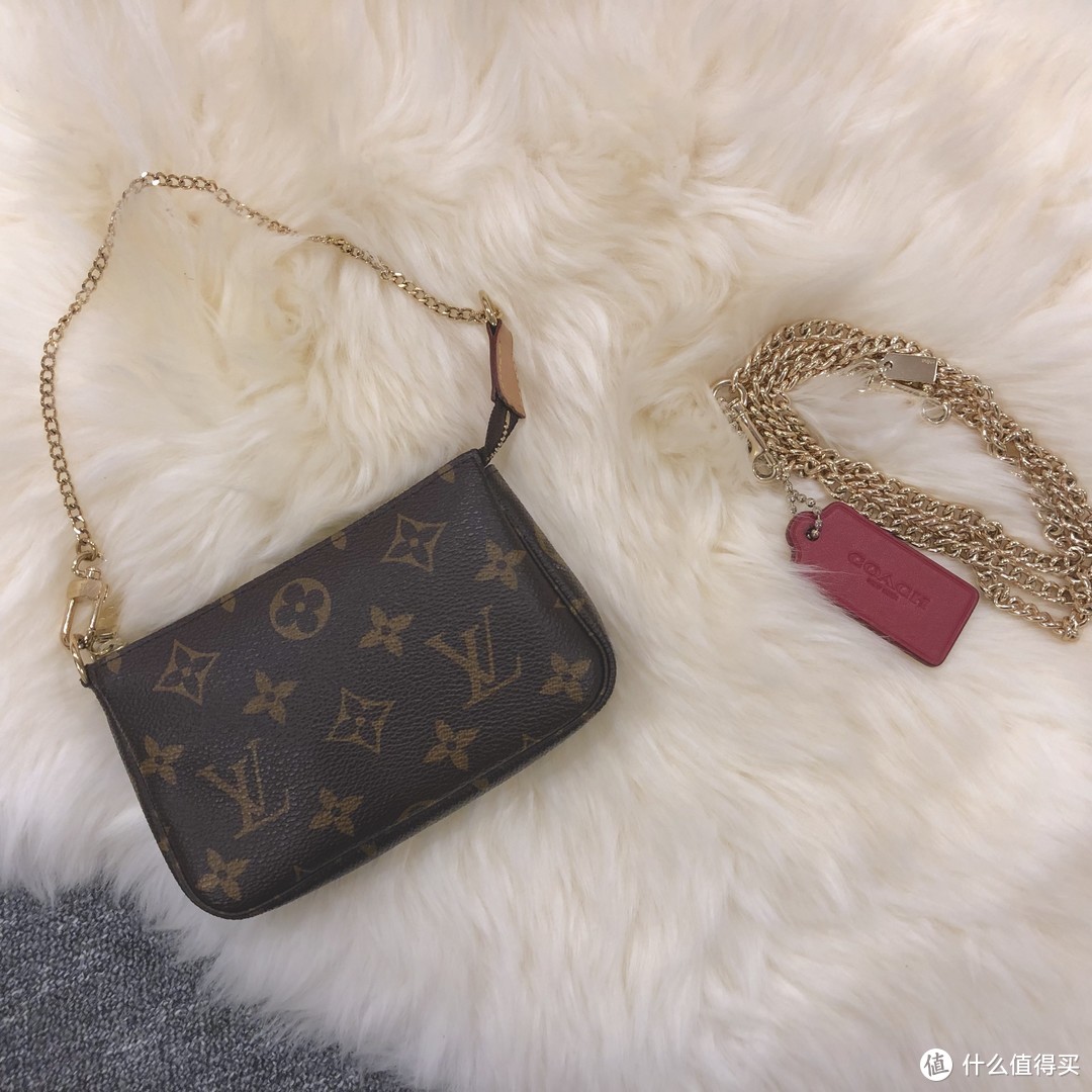 LV Mini Pochette