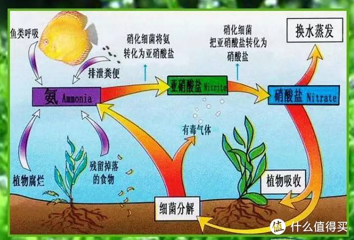 硝化系统原理