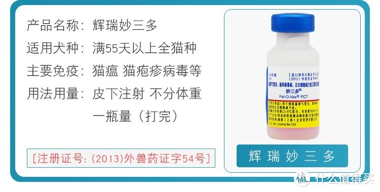 生活从捡了一只猫开始改变：收养流浪猫你真的准备好了吗？