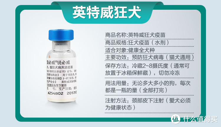 生活从捡了一只猫开始改变：收养流浪猫你真的准备好了吗？