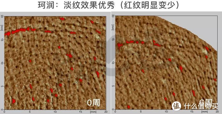 氪金15万评测5款抗皱面霜，SK-II大红瓶居然败给200块的它