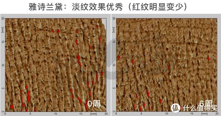 氪金15万评测5款抗皱面霜，SK-II大红瓶居然败给200块的它