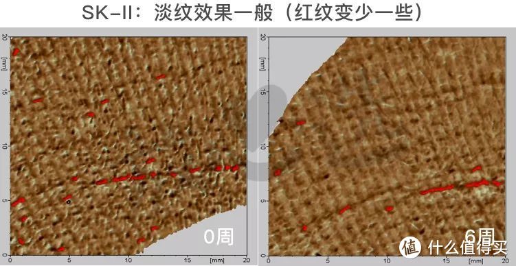 氪金15万评测5款抗皱面霜，SK-II大红瓶居然败给200块的它