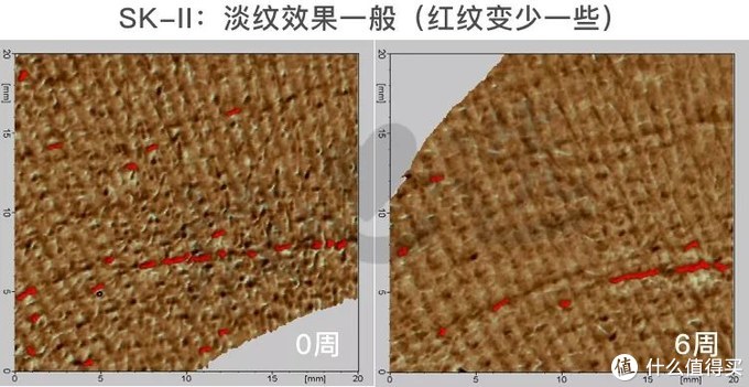 氪金15万评测5款抗皱面霜，SK-II大红瓶居然败给200块的它