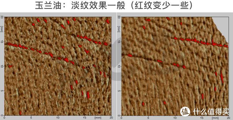 氪金15万评测5款抗皱面霜，SK-II大红瓶居然败给200块的它