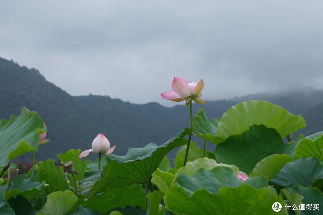 八月，从大理自驾腾冲，看一路好风景