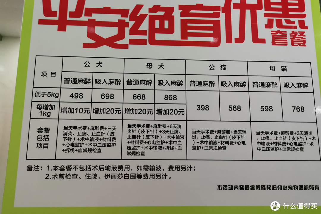 生活从捡了一只猫开始改变：收养流浪猫你真的准备好了吗？