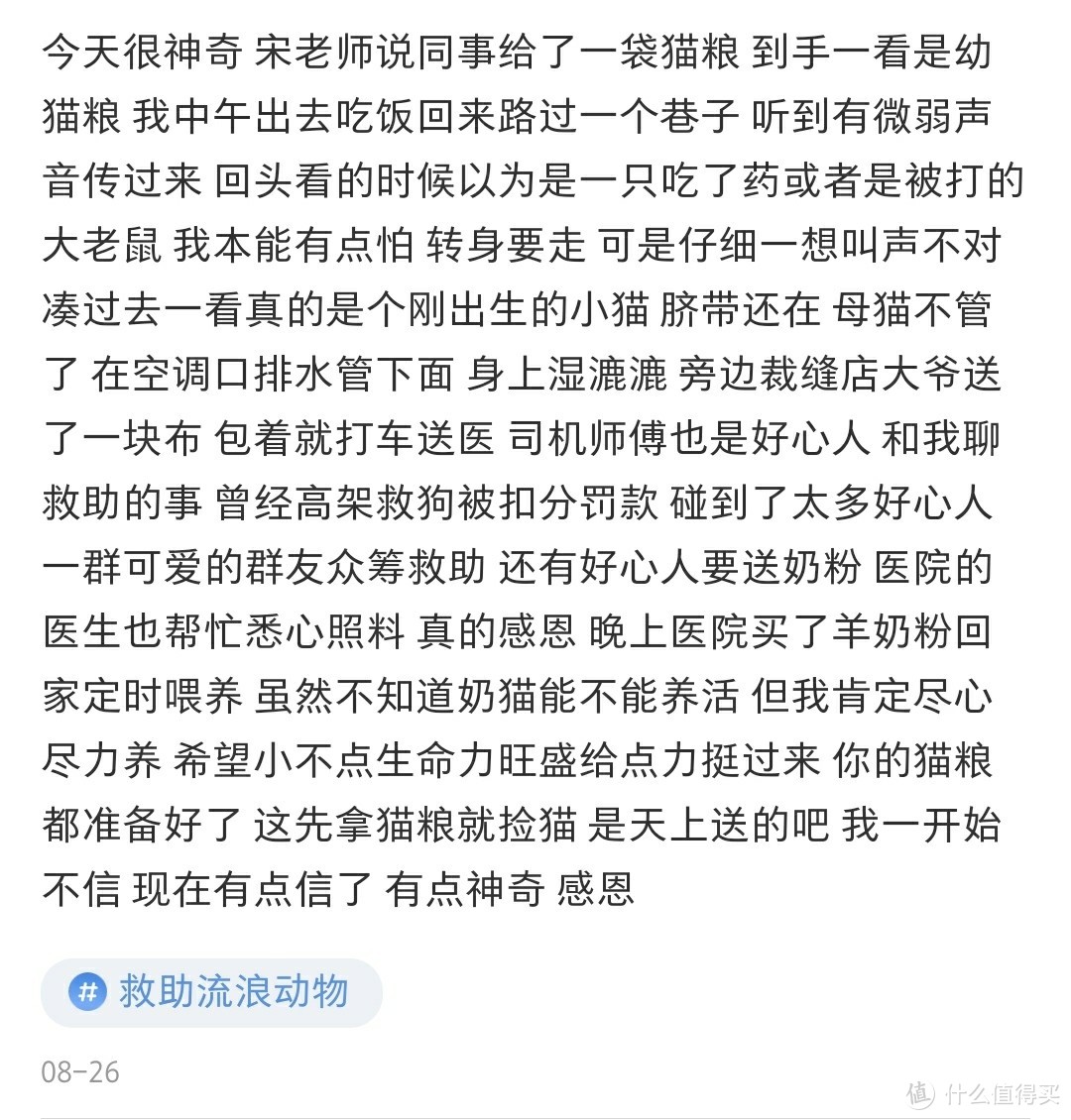 不严谨不专业佛系养猫不完全撸猫手册（内含大量猫片）年轻人慎入