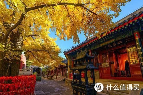 北京京郊秋季必看|大山里的随遇而安、自在欢喜