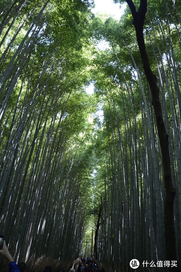 日本零零散散的游玩（二）