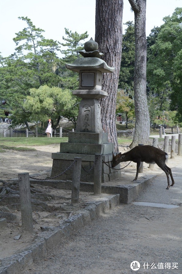 日本零零散散的游玩（四）