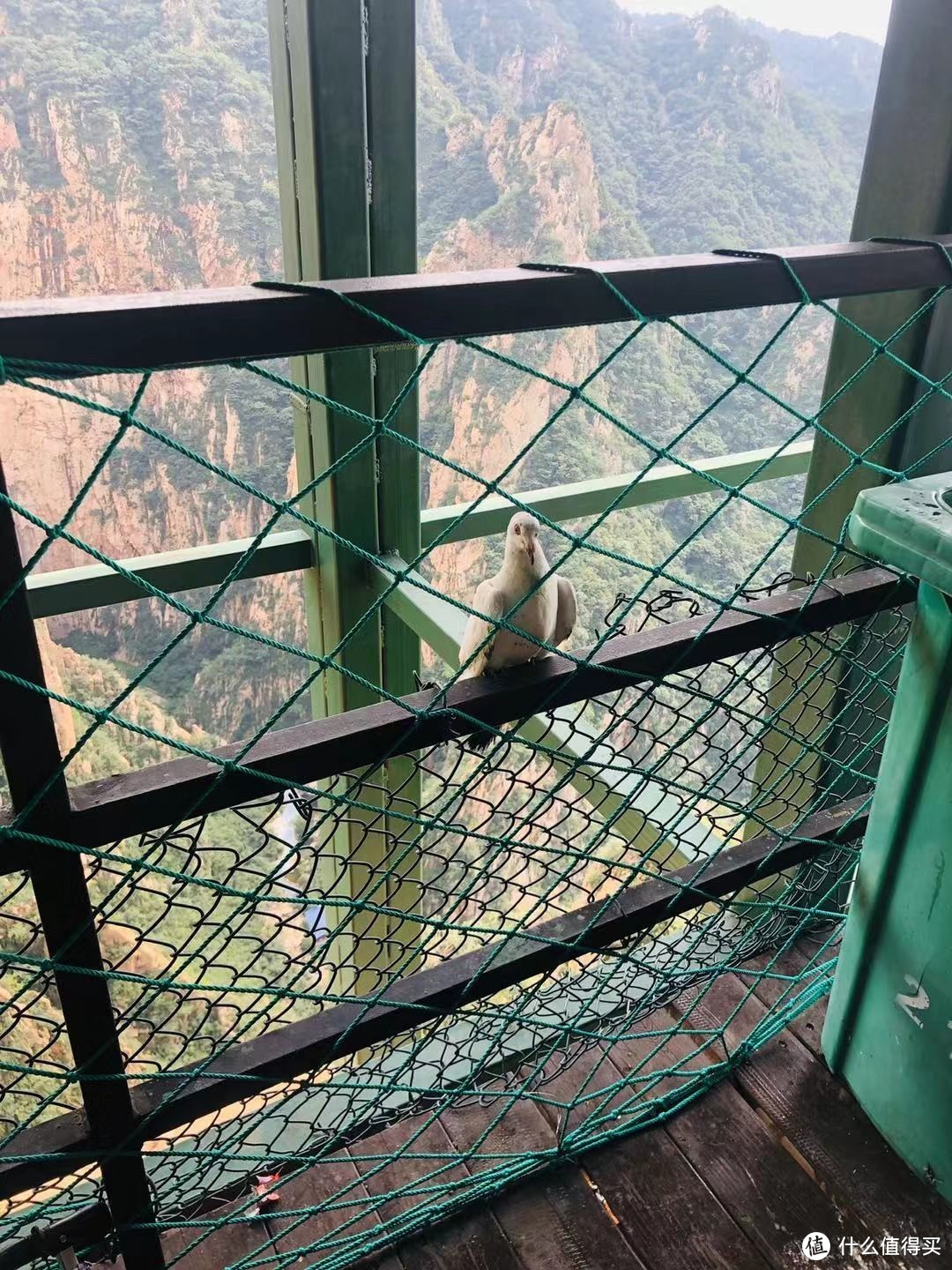 只有山水没有人群，这样的宝藏景点我不能再私藏了