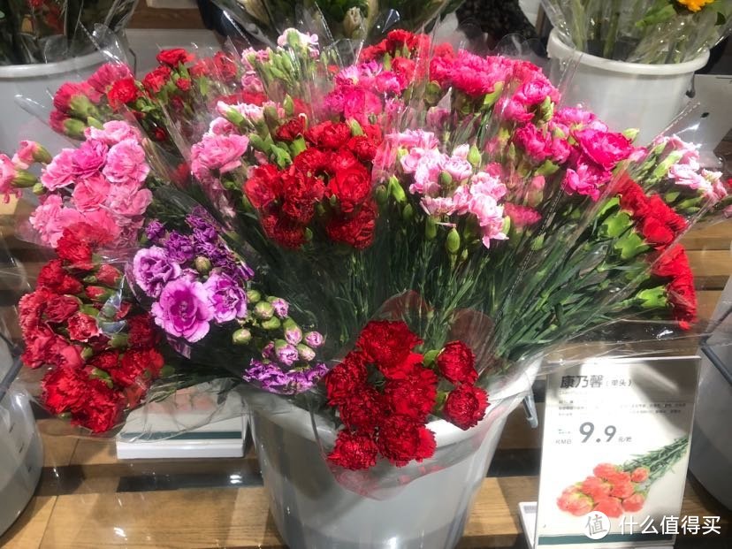 鹿岛普通生活：杭州性价比超高的鲜花、盆栽店游记