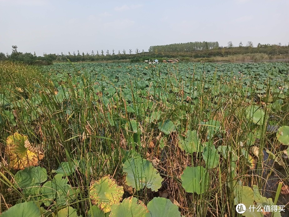 江苏镇江句容边上南京三国村（国庆冷门景点出行）冷门中的冷门连车都打不到