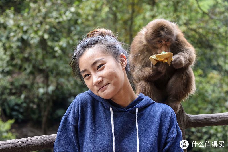 用两天时间去峨眉山逗猴子，然后住在金顶看日出