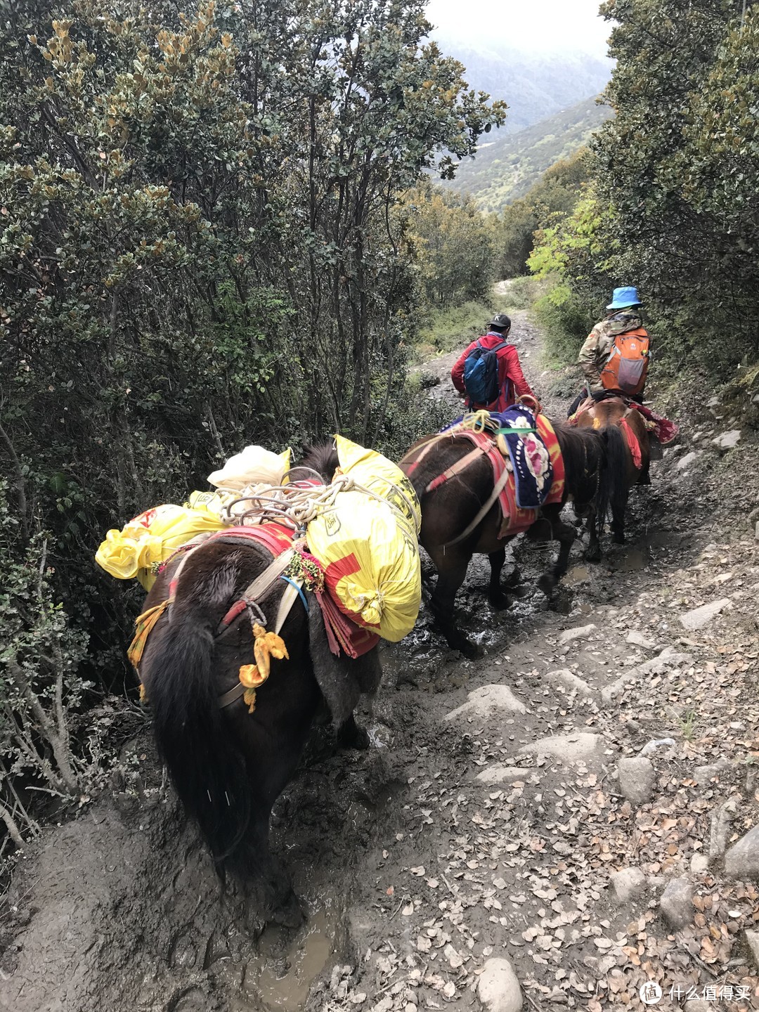 国庆前的错峰游—登四姑娘山大峰记