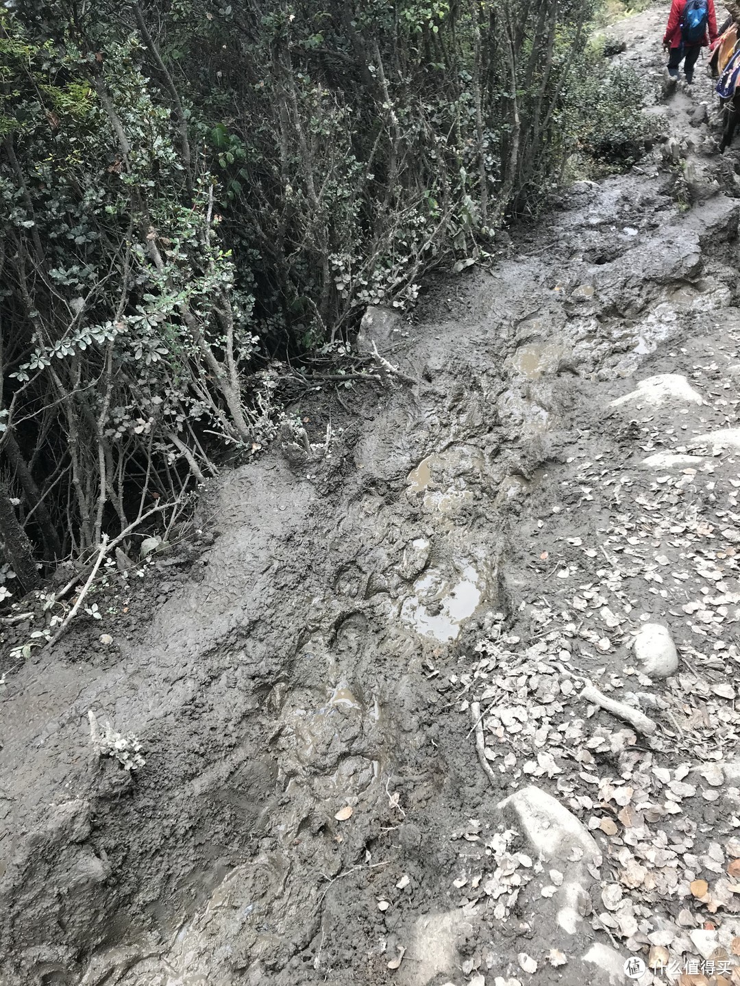 国庆前的错峰游—登四姑娘山大峰记