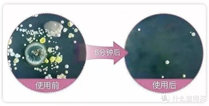 内衣专用洗衣液什么牌子好？小林、芳新等6款内衣洗衣液深度测评！