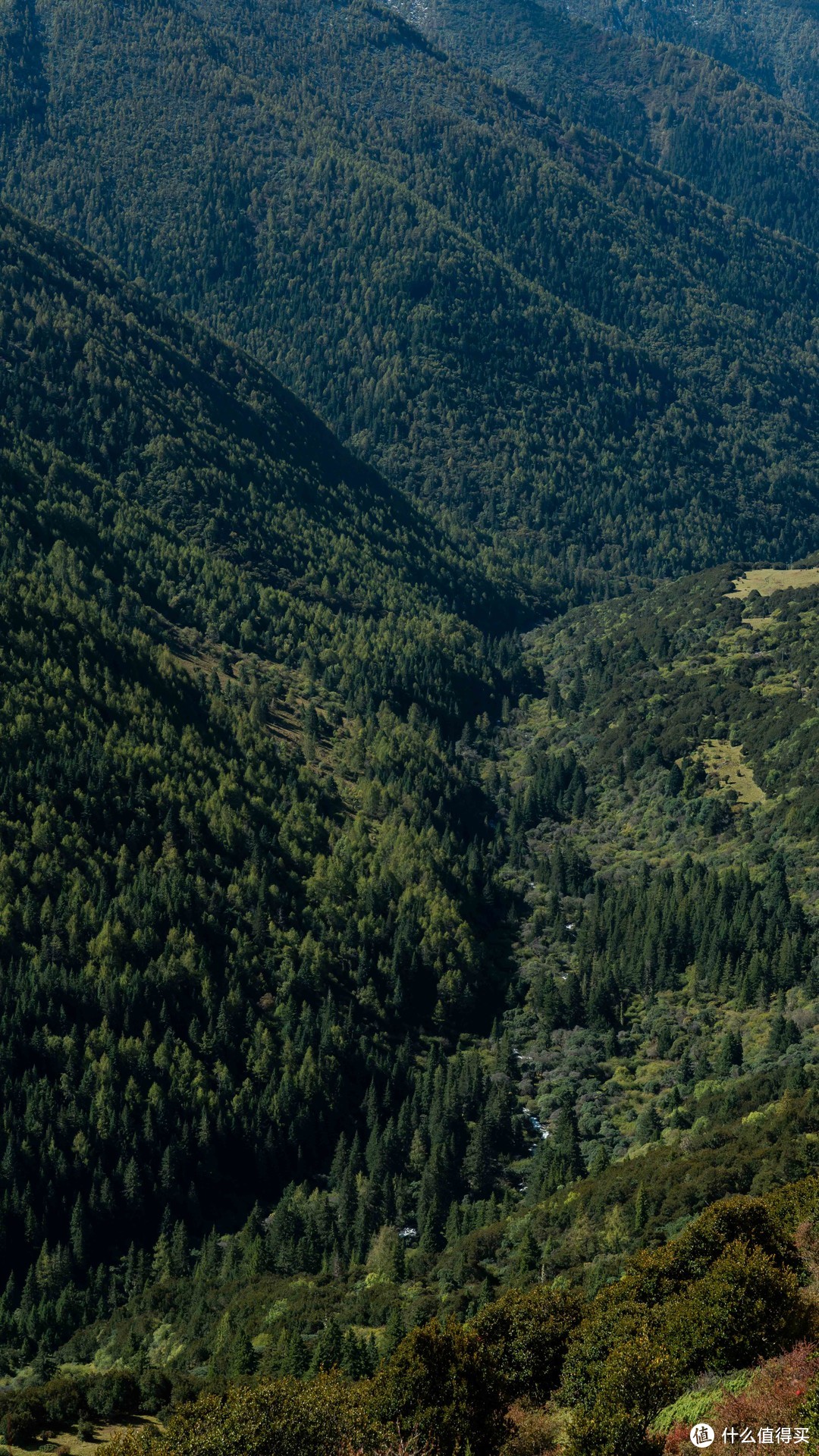 国庆前的错峰游—登四姑娘山大峰记