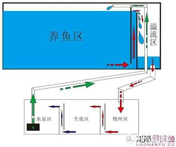 小道进阶（聊聊过滤及怎样买到好水草）干货篇