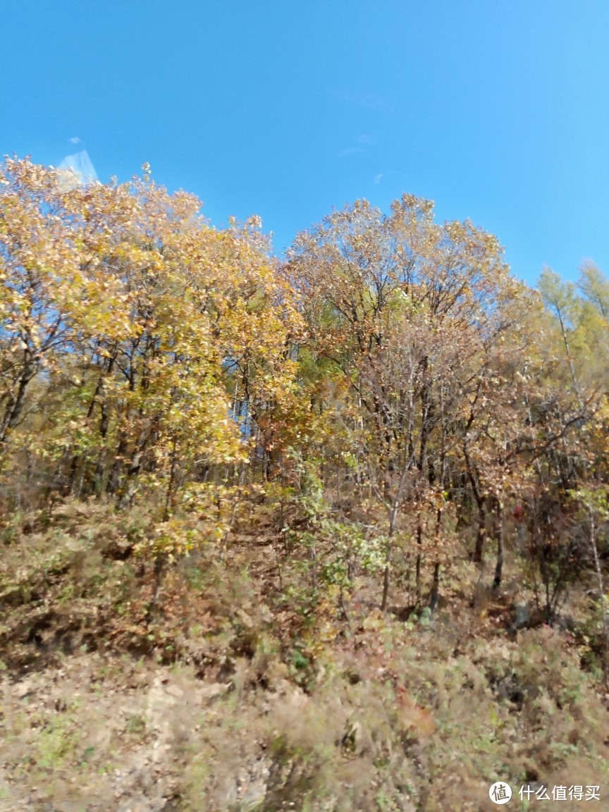 十一周边游--小黄山看五花山