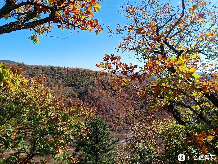 十一周边游--小黄山看五花山