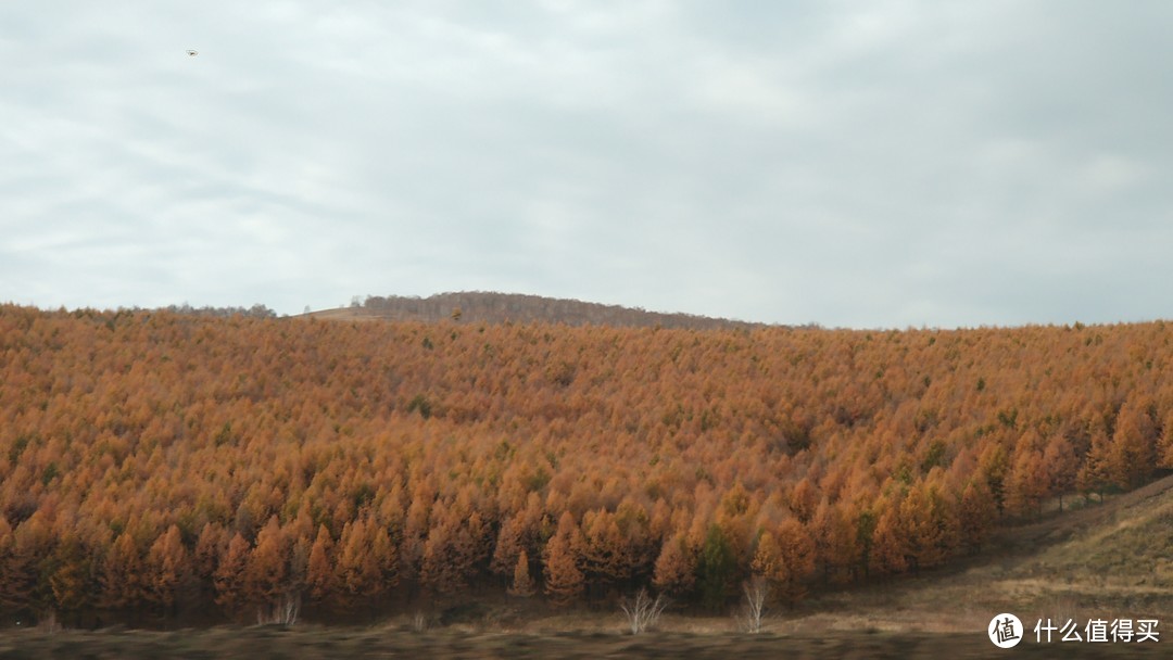 崇山峻岭