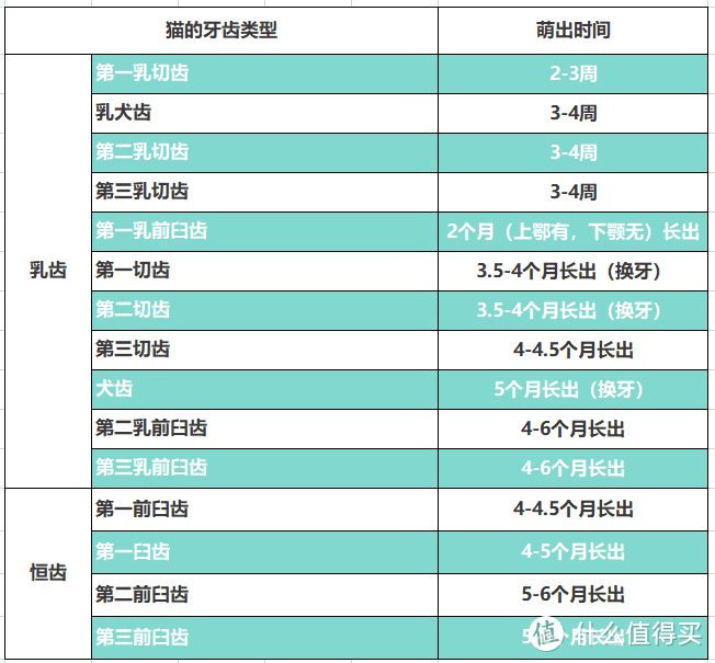 【APMC刘医生】猫咪的犬齿长得太长，也是一种病……