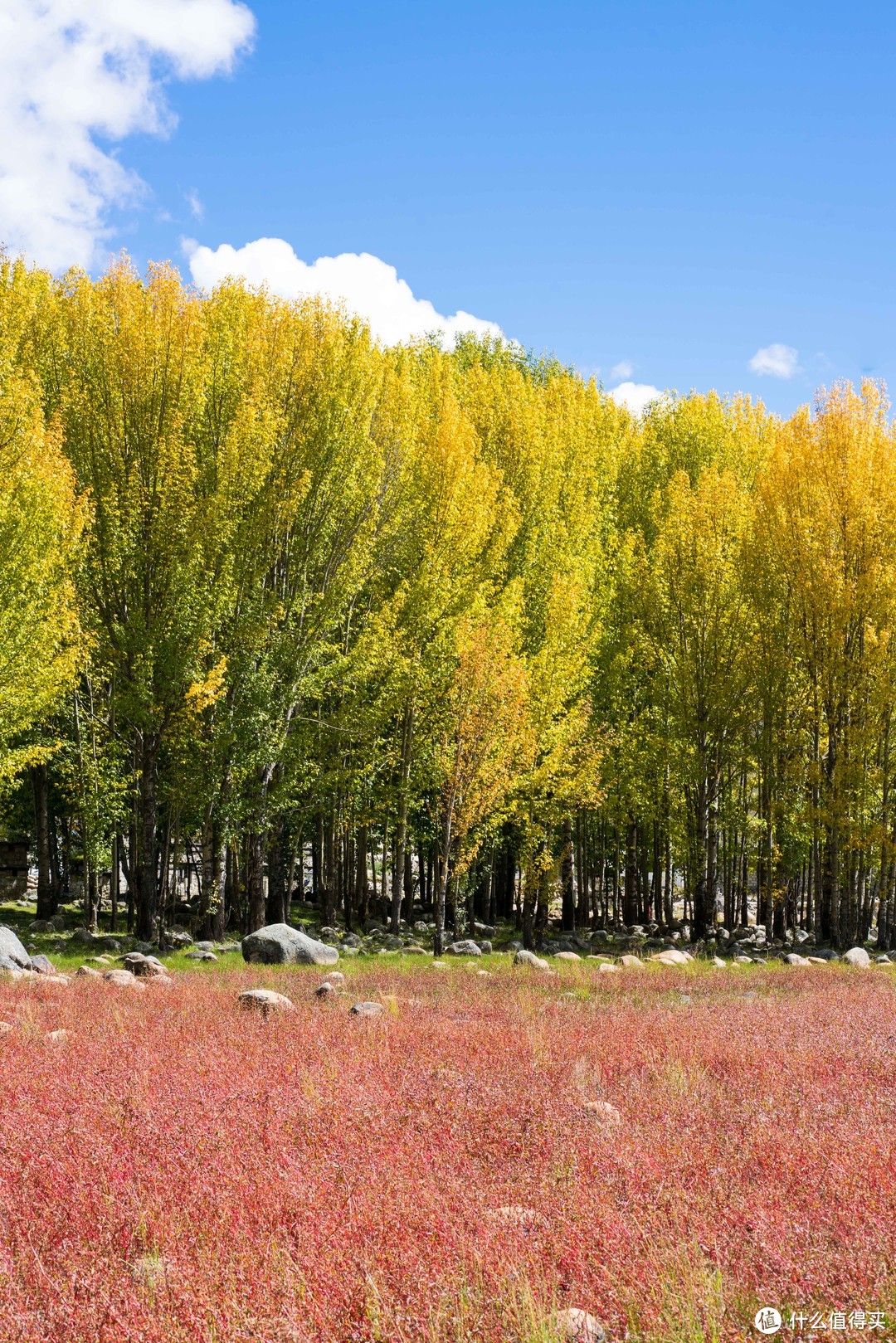 跨过高山，耗尽氧气，只为遇见十月的稻城亚丁