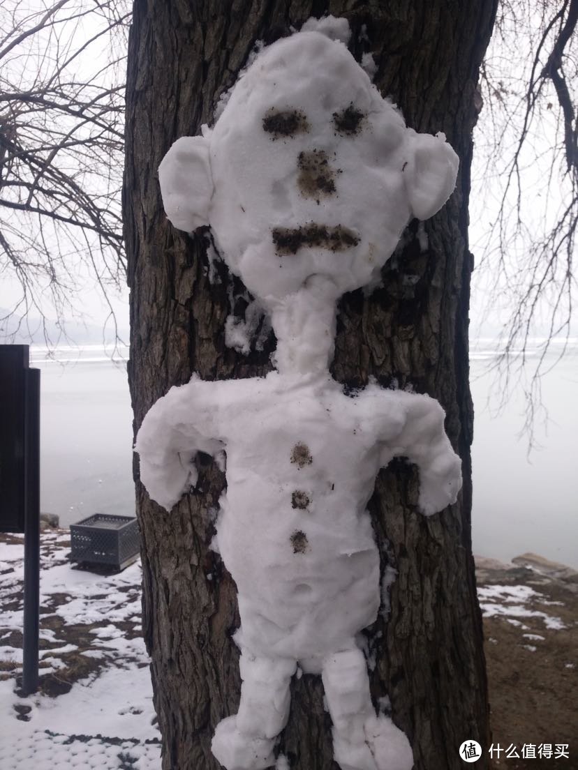 偶遇一个被钉在树上的雪人