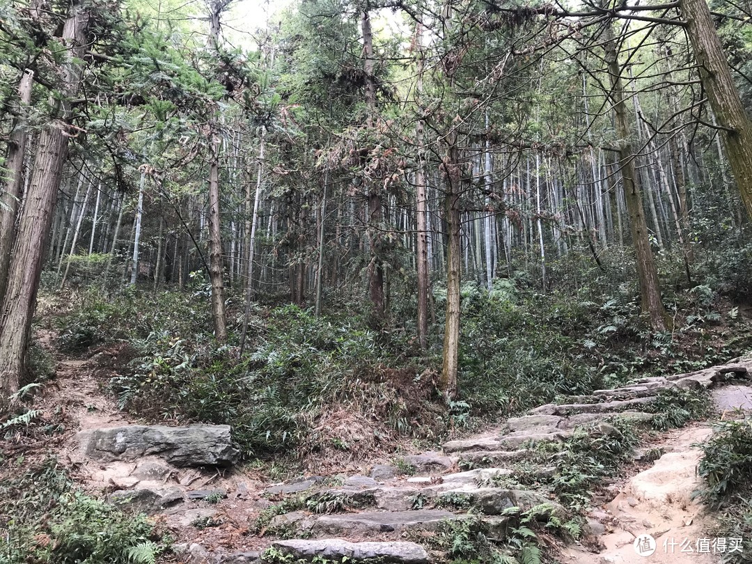 山路，沿着石阶走就可以