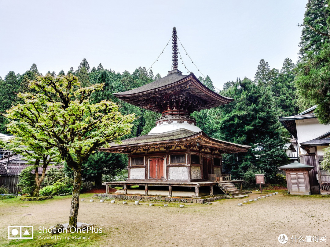 高野山 风水最好之地遇见至善之人