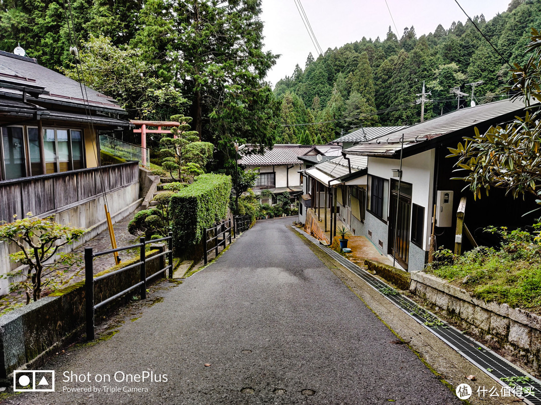 高野山 风水最好之地遇见至善之人