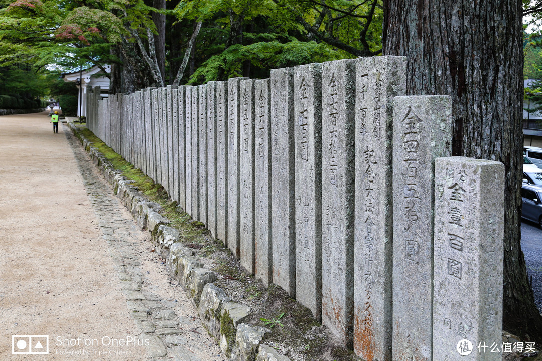 高野山 风水最好之地遇见至善之人