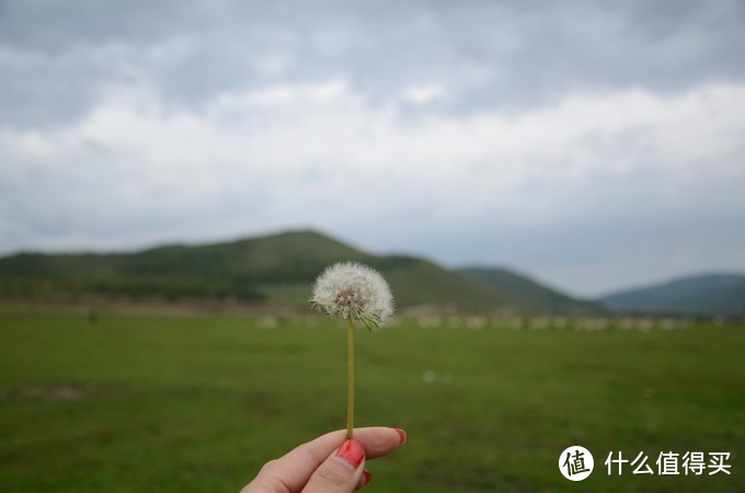 忽晴忽雨的呼伦贝尔~日出，云海，佛光，大草原，还有采蘑菇的小姑娘~~~