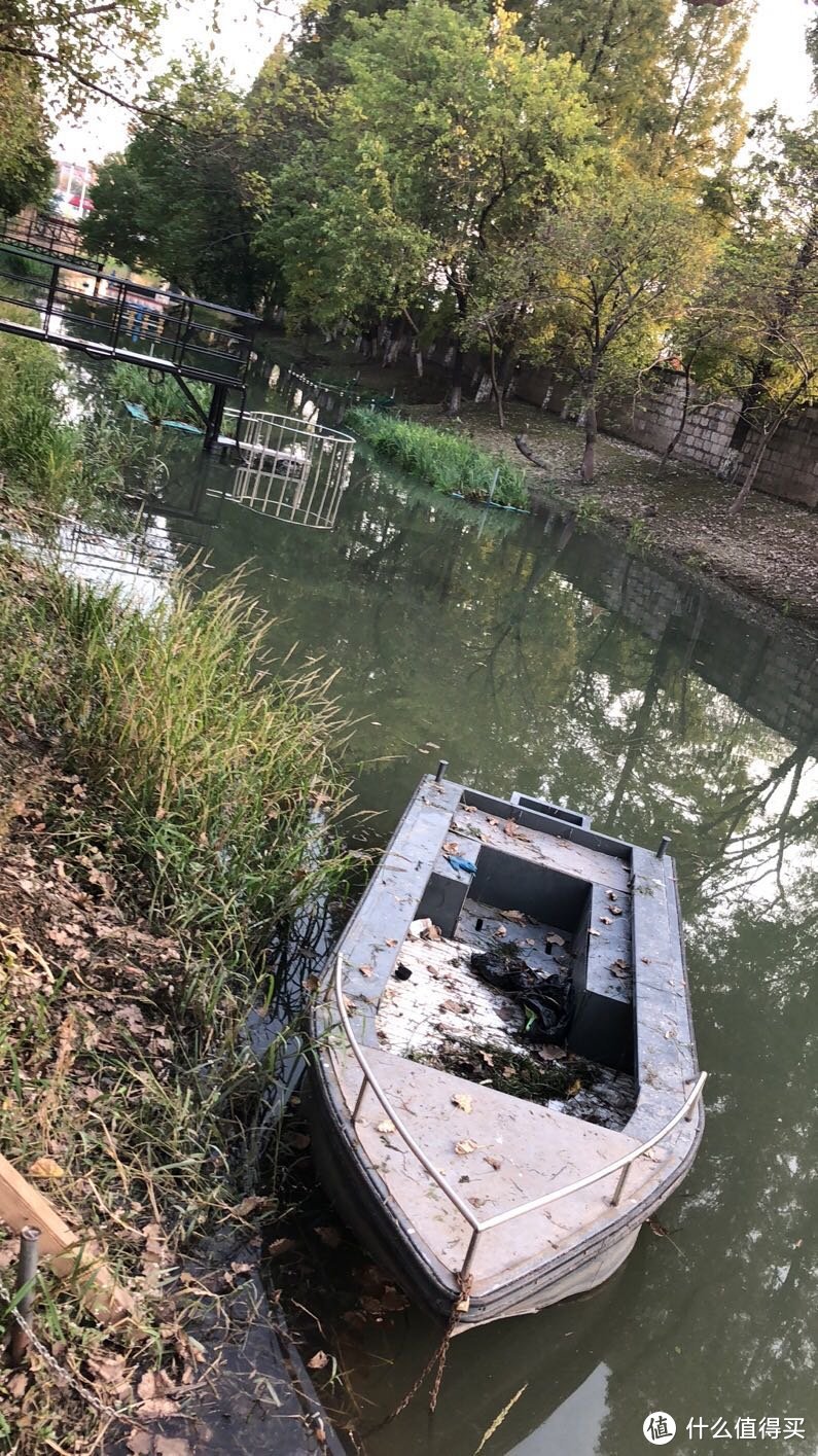 徐汇区定浦河绿地钓鱼游记（周末河边垂钓的好多人啊）看看都钓出来的什么鱼