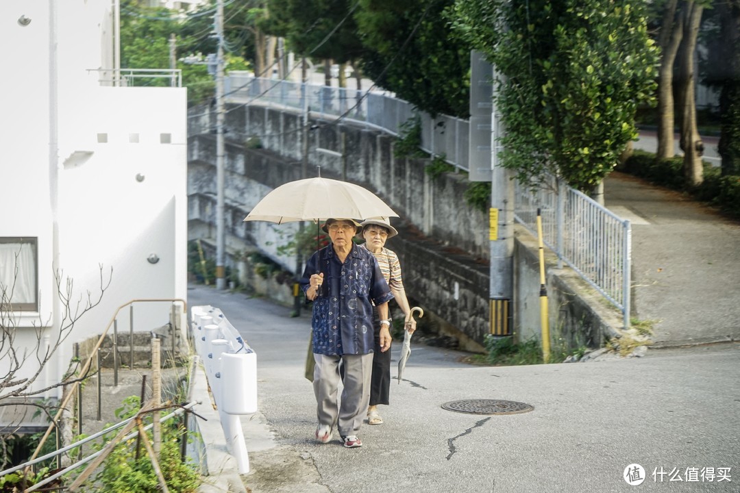 全大妈首发——鼓浪屿号游轮饲养报告