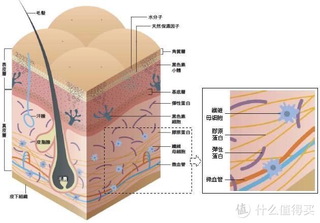 从这款inface美容仪的使用测评说起，“射频美容仪”到底是智商税还是童颜神器？