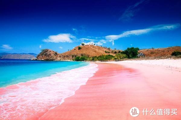 科莫多岛粉色沙滩让女性心动，科莫多龙让男性心动，那就出发去看