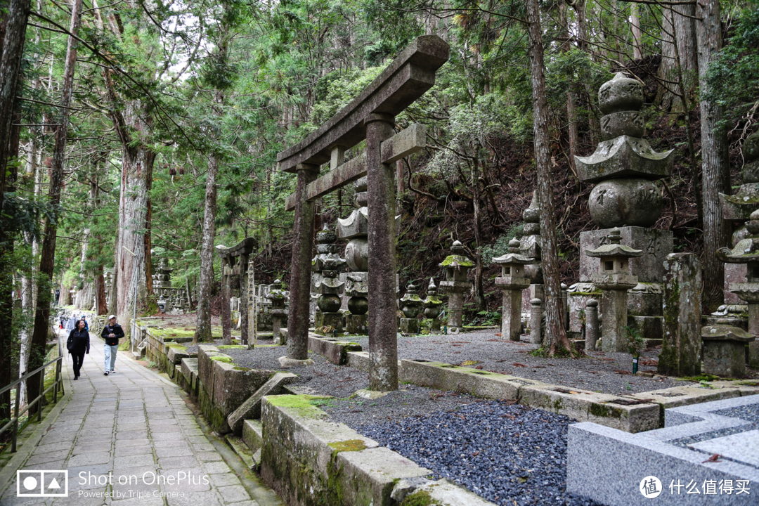 高野山 风水最好之地遇见至善之人