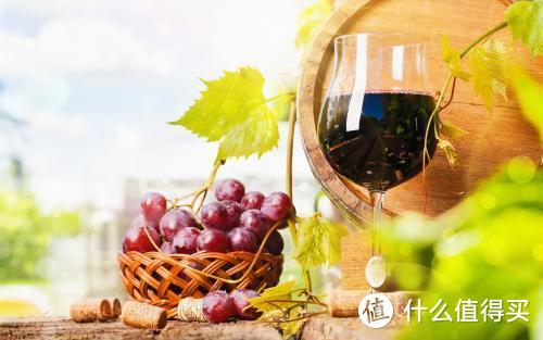 柏觅红酒 | 红酒的禁忌，你都知道吗？最后一条绝了！