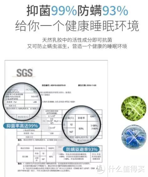 乳胶枕全面体检！从入门到专业，一篇看透！