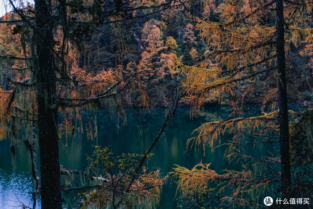 赏雪山秋日胜景—昌坝海露营之旅～